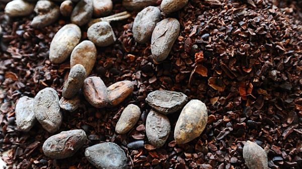 Названа причина резкого роста цен на какао-бобы
