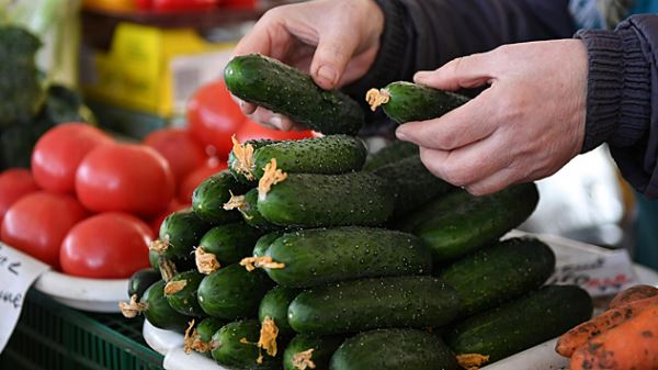 В России нашли способ снизить цены на помидоры и огурцы